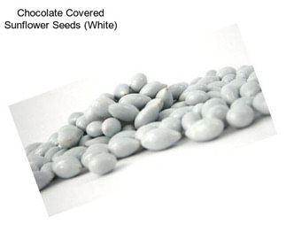 Chocolate Covered Sunflower Seeds (White)