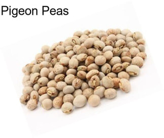 Pigeon Peas