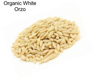 Organic White Orzo