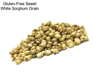 Gluten-Free Sweet White Sorghum Grain
