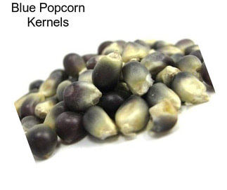 Blue Popcorn Kernels