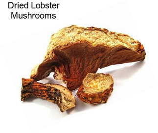 Dried Lobster Mushrooms