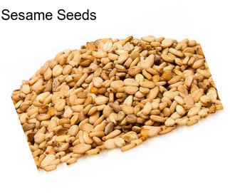 Sesame Seeds