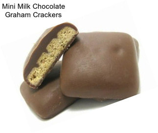 Mini Milk Chocolate Graham Crackers
