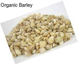 Organic Barley