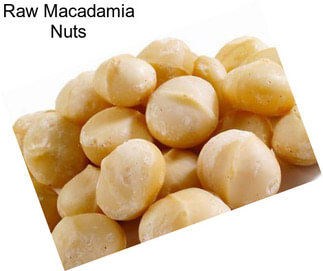 Raw Macadamia Nuts