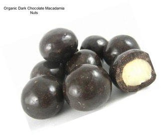 Organic Dark Chocolate Macadamia Nuts