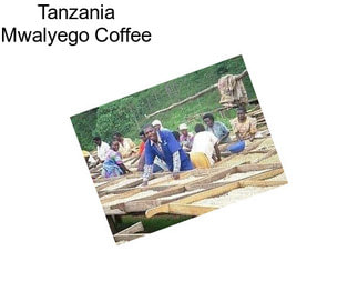 Tanzania Mwalyego Coffee