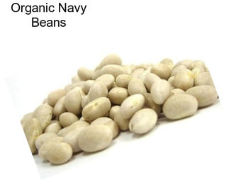 Organic Navy Beans