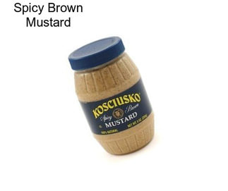 Spicy Brown Mustard