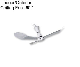 Indoor/Outdoor Ceiling Fan--60``