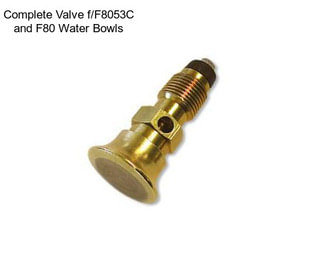 Complete Valve f/F8053C and F80 Water Bowls