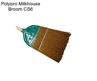 Polypro Milkhouse Broom CS6