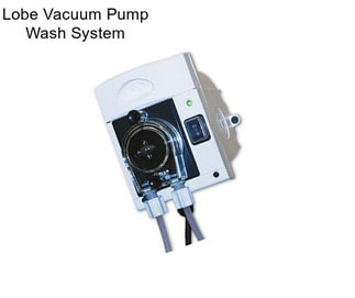 Lobe Vacuum Pump Wash System