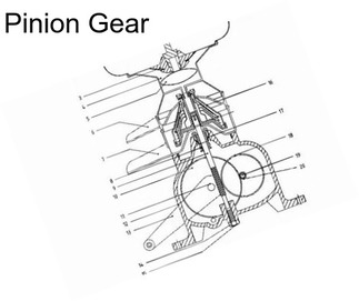 Pinion Gear