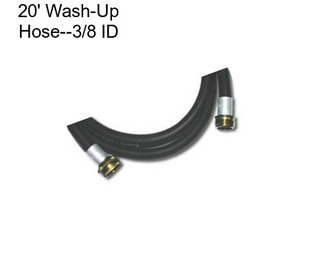 20\' Wash-Up Hose--3/8\