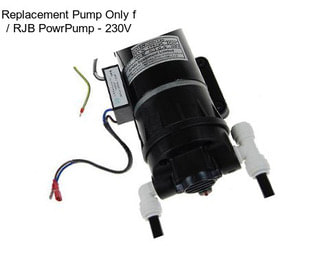 Replacement Pump Only f / RJB PowrPump - 230V