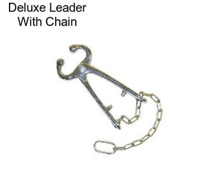 Deluxe Leader With Chain