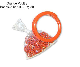 Orange Poultry Bands--11/16\