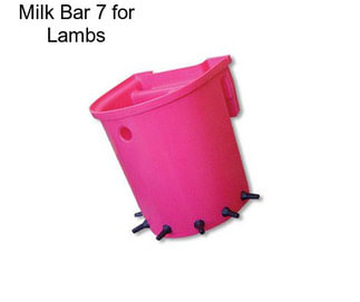 Milk Bar 7 for Lambs