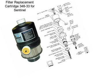 Filter Replacement Cartridge 348-33 for Sentinel