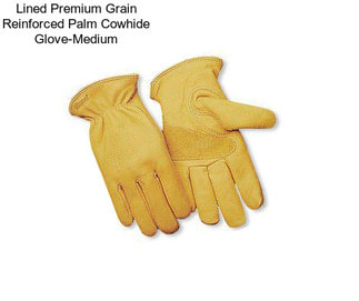 Lined Premium Grain Reinforced Palm Cowhide Glove-Medium