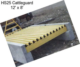 HS25 Cattleguard 12\' x 8\'