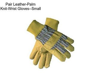 Pair Leather-Palm Knit-Wrist Gloves--Small