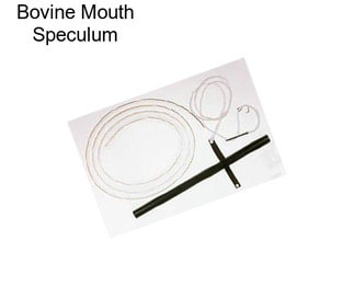 Bovine Mouth Speculum