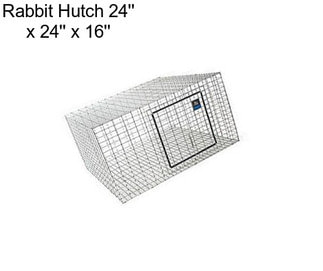 Rabbit Hutch 24\'\' x 24\'\' x 16\'\'