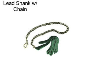 Lead Shank w/ Chain