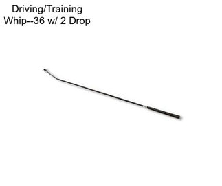 Driving/Training Whip--36\