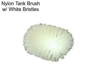 Nylon Tank Brush w/ White Bristles