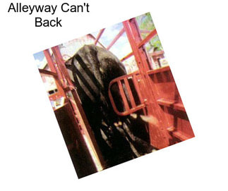 Alleyway Can\'t Back