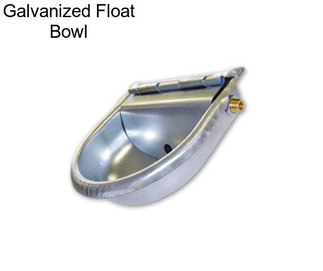 Galvanized Float Bowl