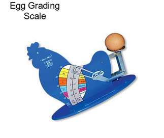 Egg Grading Scale