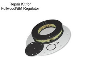 Repair Kit for Fullwood/BM Regulator