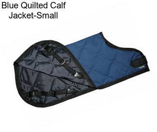 Blue Quilted Calf Jacket-Small