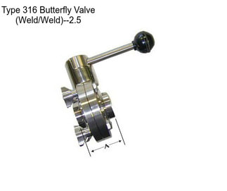 Type 316 Butterfly Valve (Weld/Weld)--2.5\