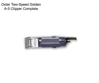 Oster Two-Speed \