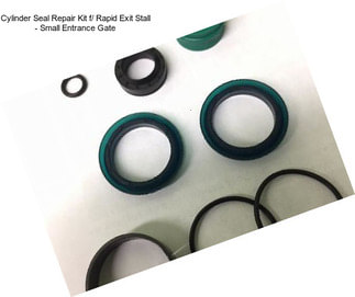 Cylinder Seal Repair Kit f/ Rapid Exit Stall - Small Entrance Gate