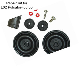 Repair Kit for L02 Pulsator--50:50