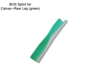 BOS Splint for Calves--Rear Leg (green)