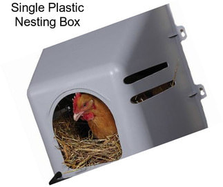 Single Plastic Nesting Box