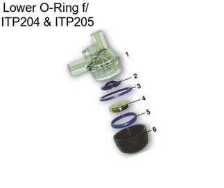 Lower O-Ring f/  ITP204 & ITP205