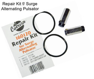 Repair Kit f/ Surge Alternating Pulsator