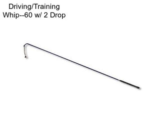 Driving/Training Whip--60\