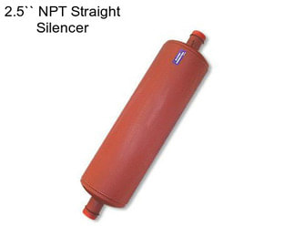 2.5`` NPT Straight Silencer