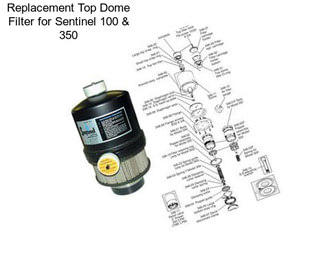 Replacement Top Dome Filter for Sentinel 100 & 350