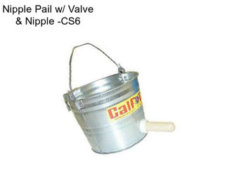 Nipple Pail w/ Valve & Nipple -CS6